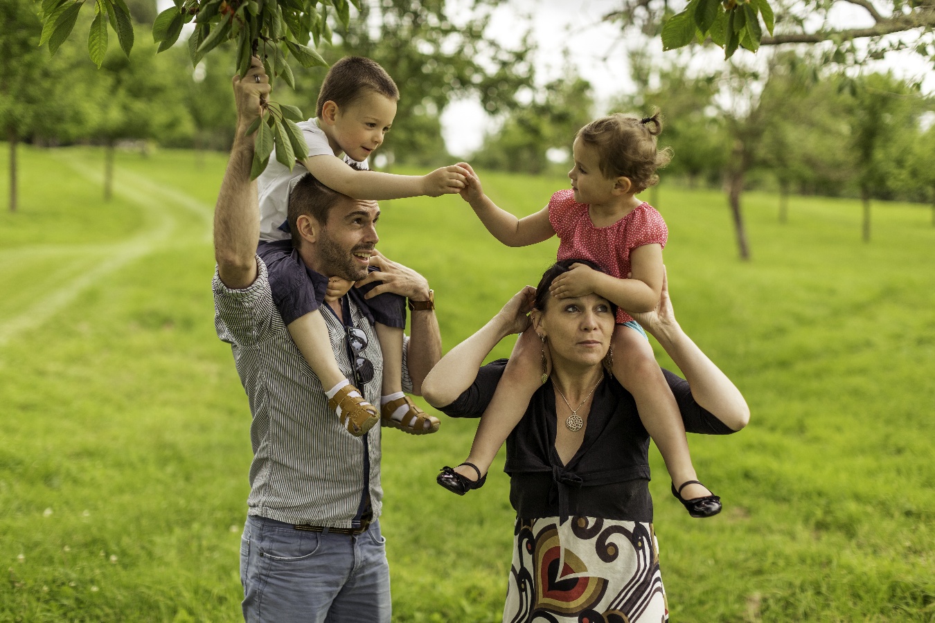 Atelier Producteur d'un jour - photo 5