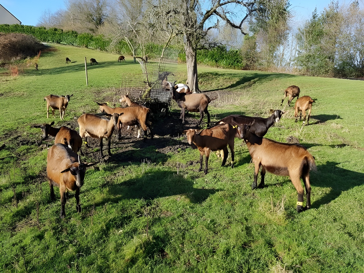 La Ferme de la Chevrière, Le Mesnil-Eudes