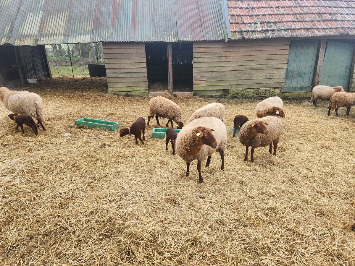 La Ferme de Grémi, Saint-Ovin - photo 2