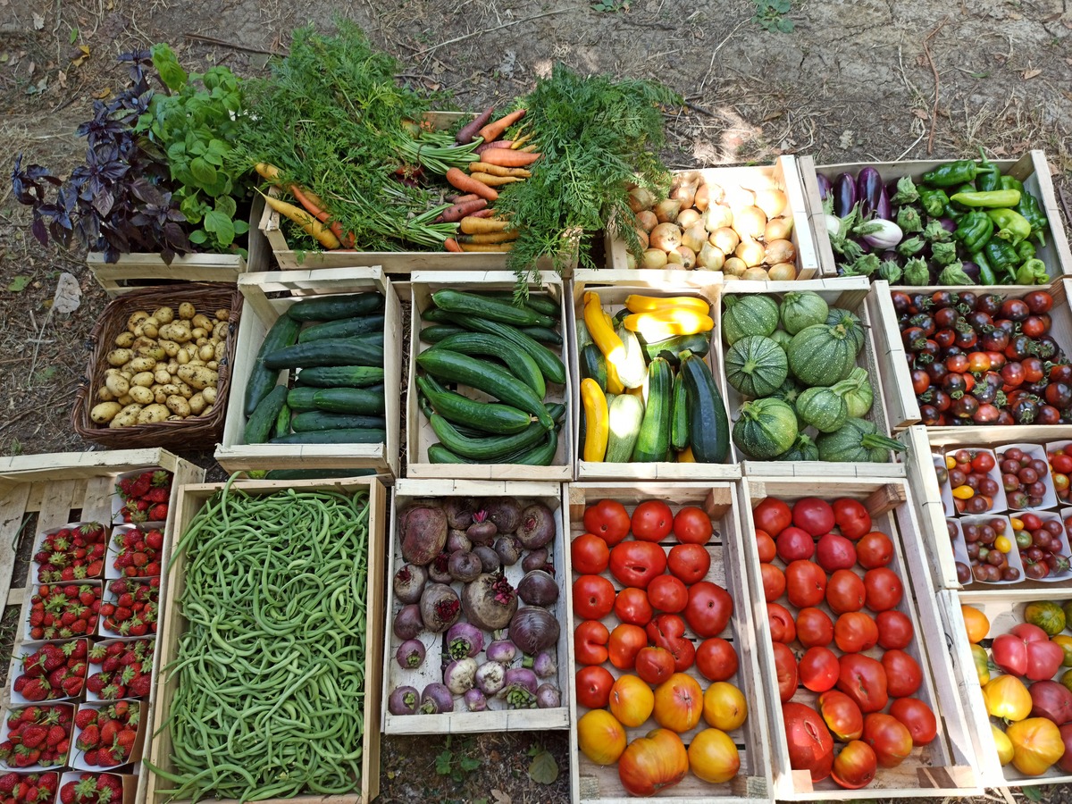 Ferme des Mille Ruisseaux