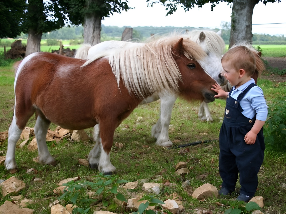 Ferme pédagogique de Ouézy, Ouézy - photo 11