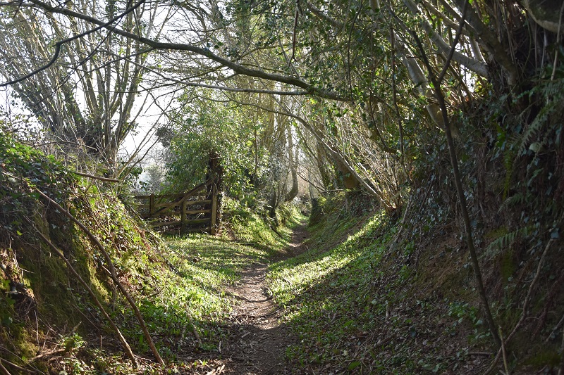Les chemins creux - Randonnée, Feugères