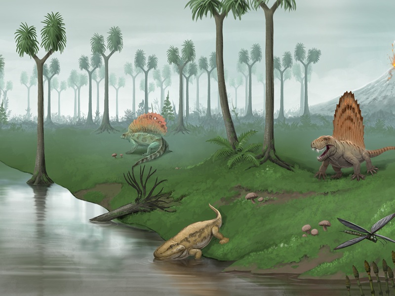 Conférence : "La sortie des eaux"