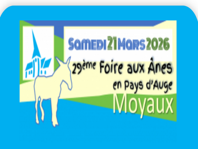 Foire aux Ânes