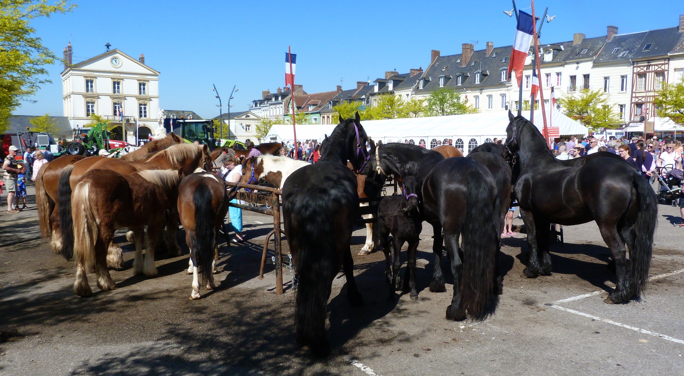 Foire Agricole de Bacqueville en Caux