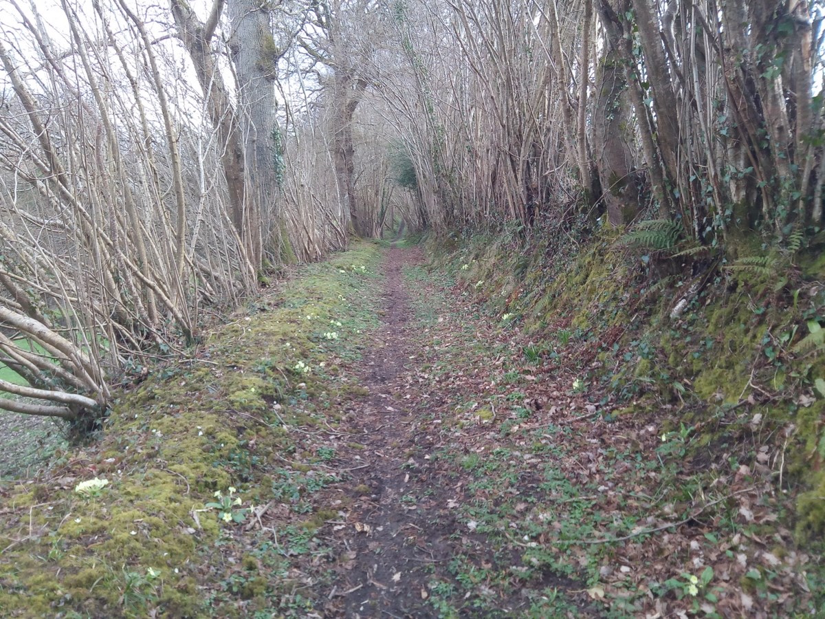 Randonnée Autour de la Drôme, Balleroy-sur-Drôme - photo 5