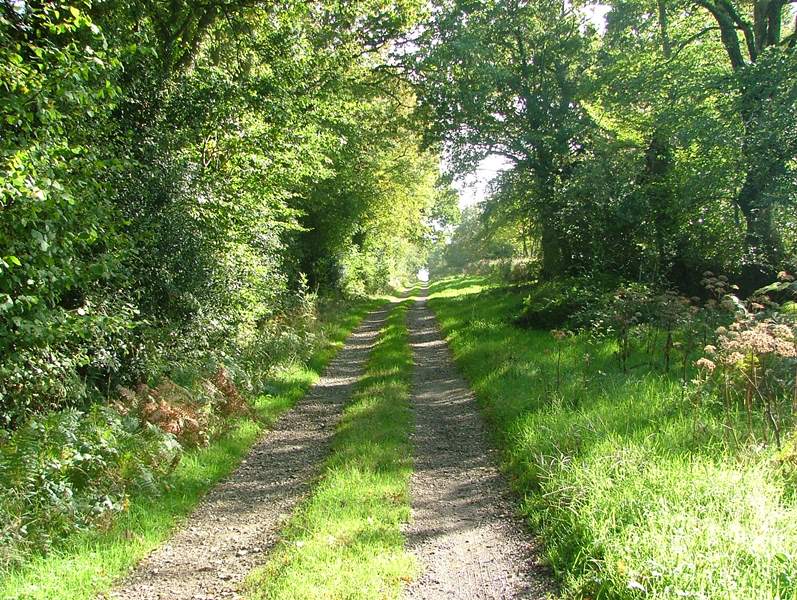 Promenons-nous dans les bois... de Saint-Sauveur-le-Vicomte