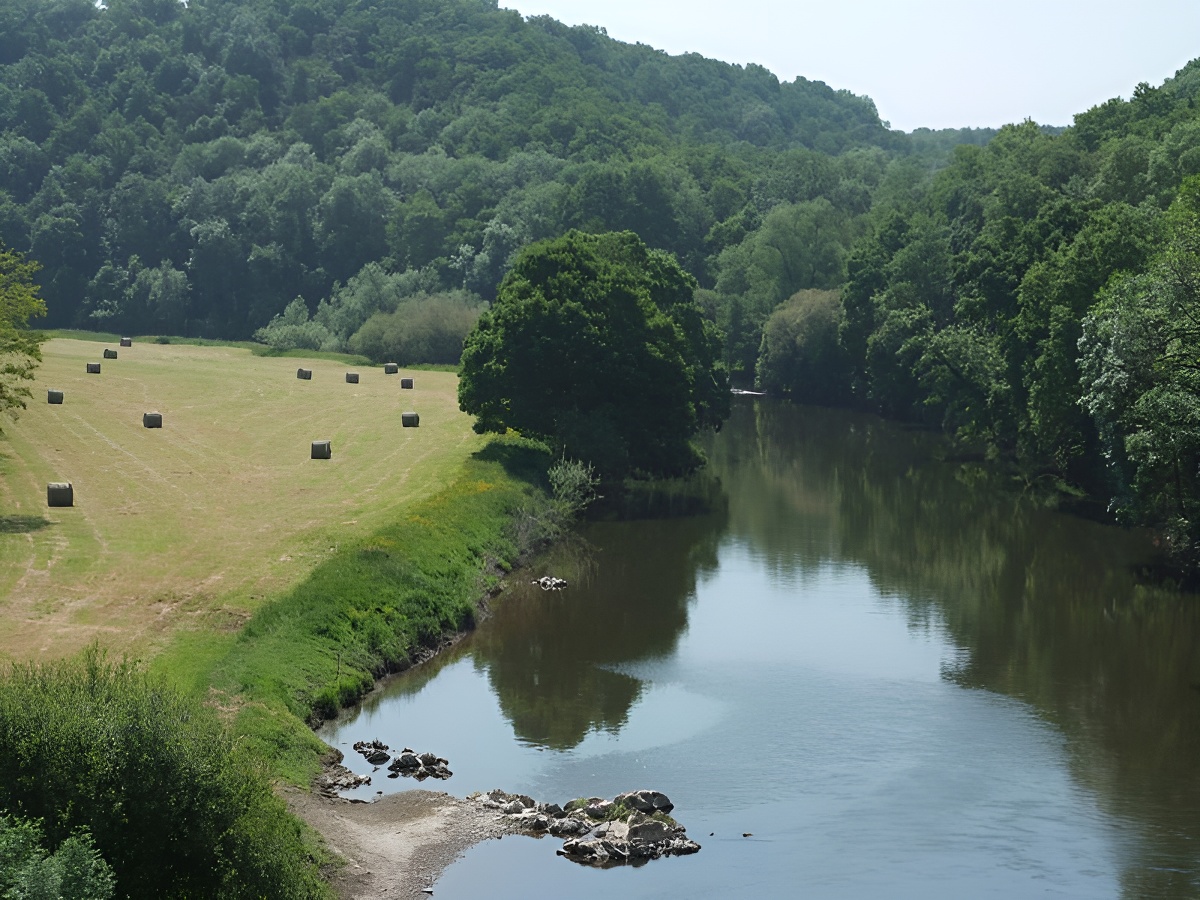 Forêt de Grimbosq
