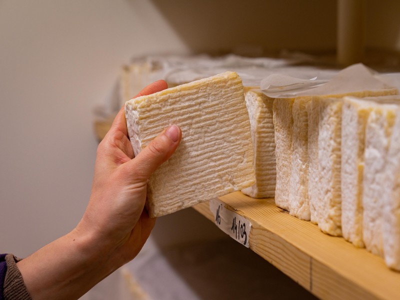Entre pommes et fromages, Pont-l'Évêque
