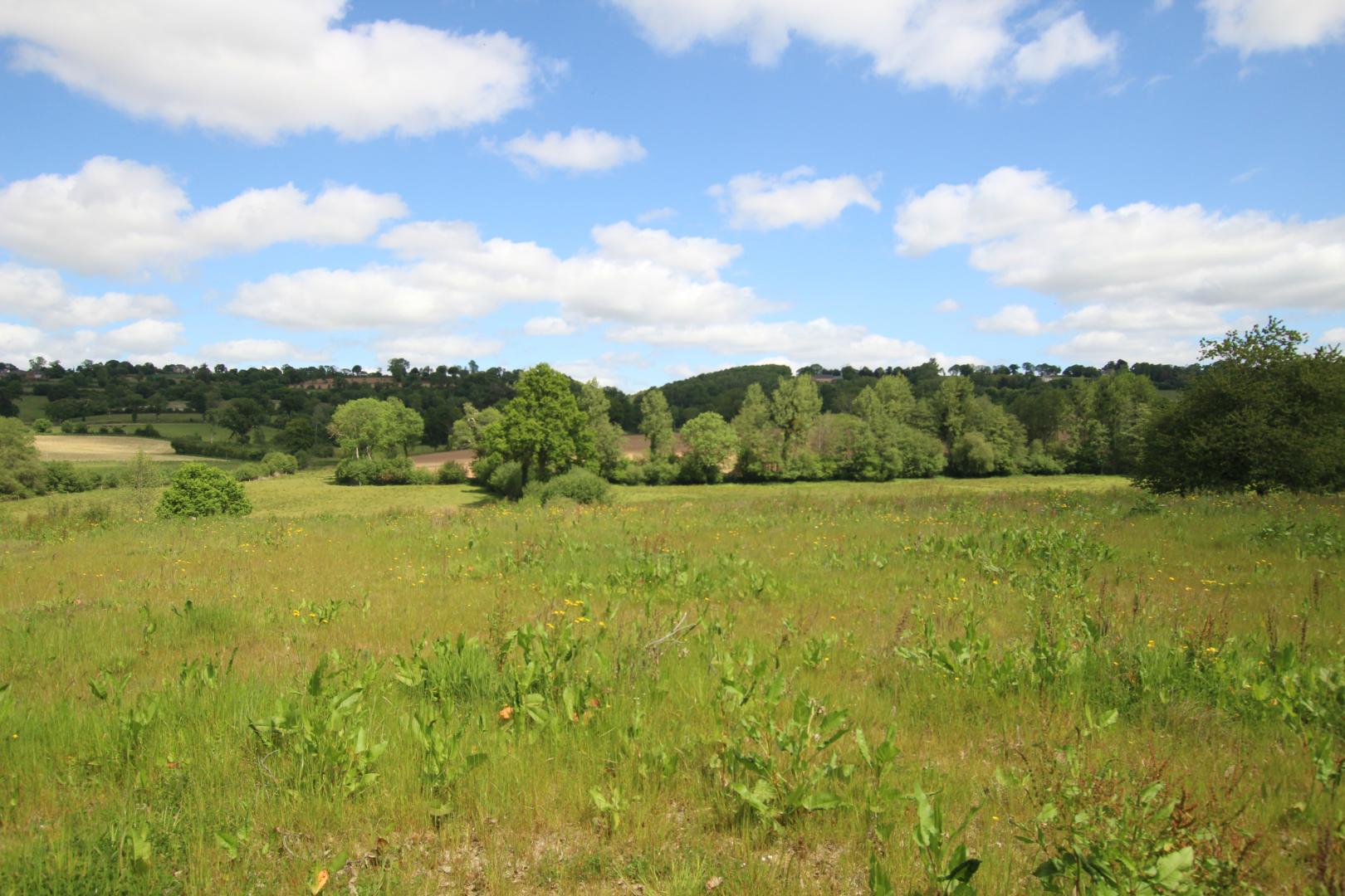 Gîtes de France G1024 : Les Ecureuils, Le Parc - photo 158