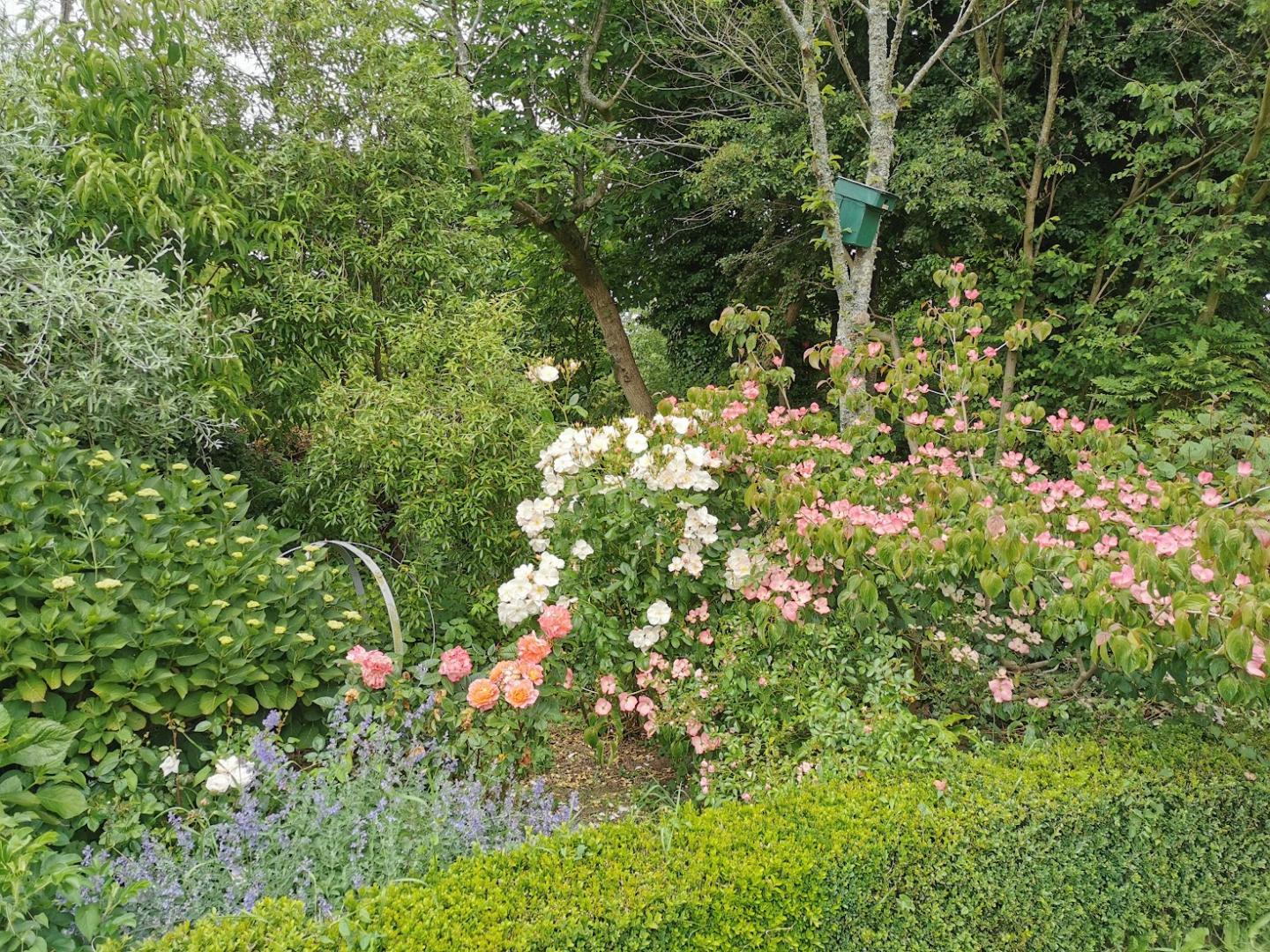 Gîtes de France G1030 : Le Pressoir — photo 2
