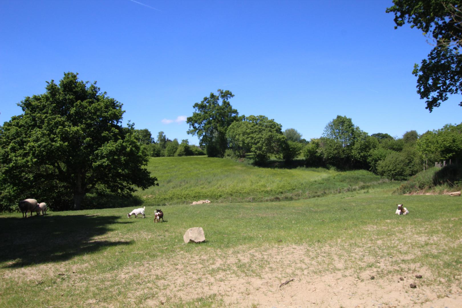 Gîtes de France G1035 : L'Issue, Sartilly-Baie-Bocage - photo 70