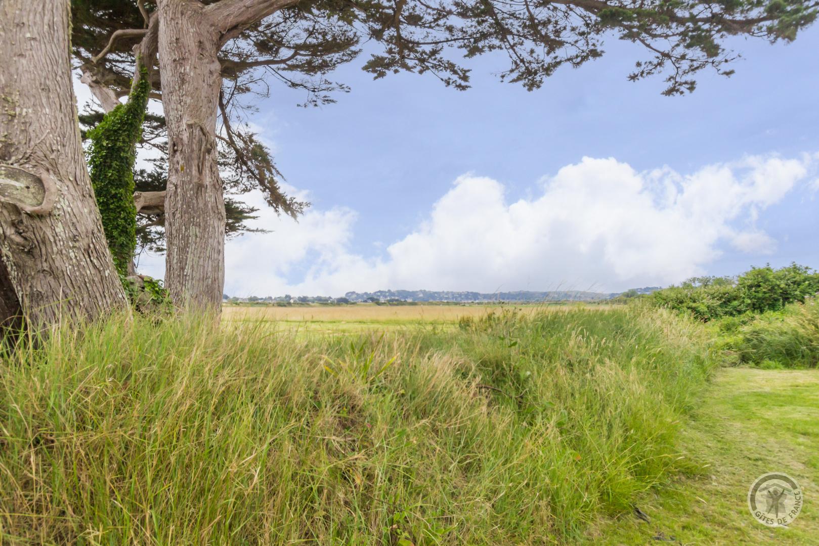 Gîtes de France G1054 : Gîtes de France® Guernesey, Barneville-Carteret - photo 129