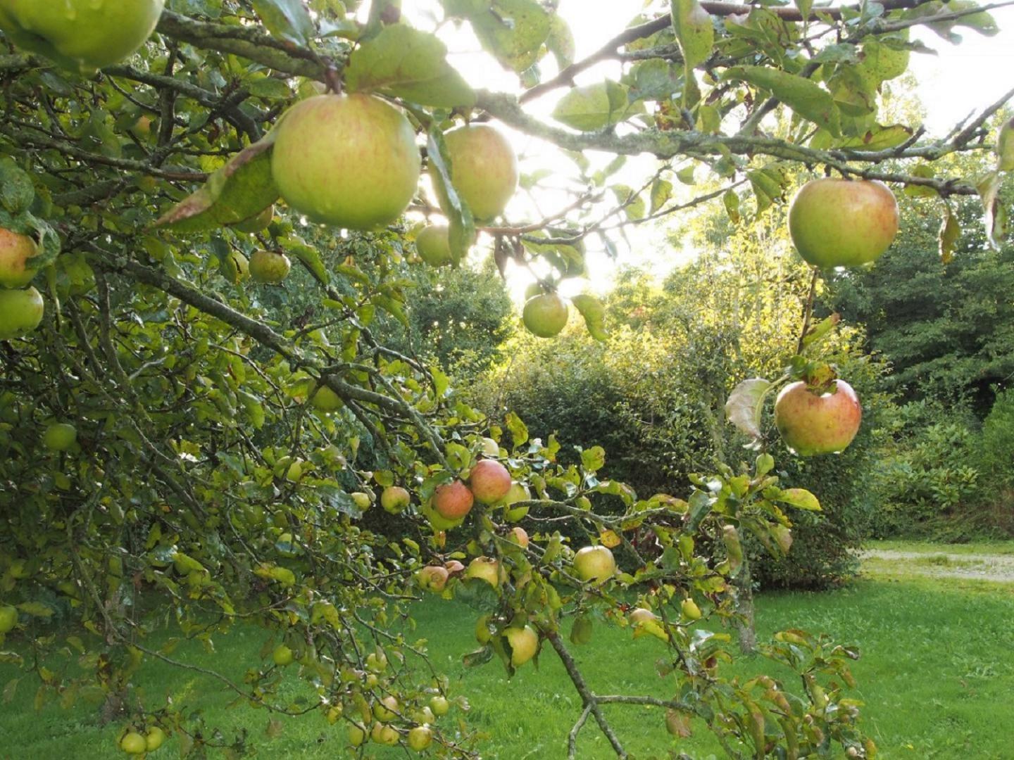 Gîtes de France G1073 : Les Camélias d'Utah, Sainte-Marie-du-Mont - photo 69