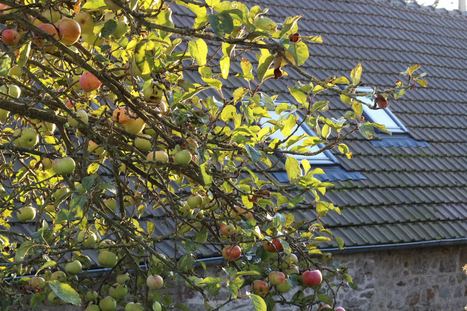 Gîtes de France G114 : Chez Grand'Ma