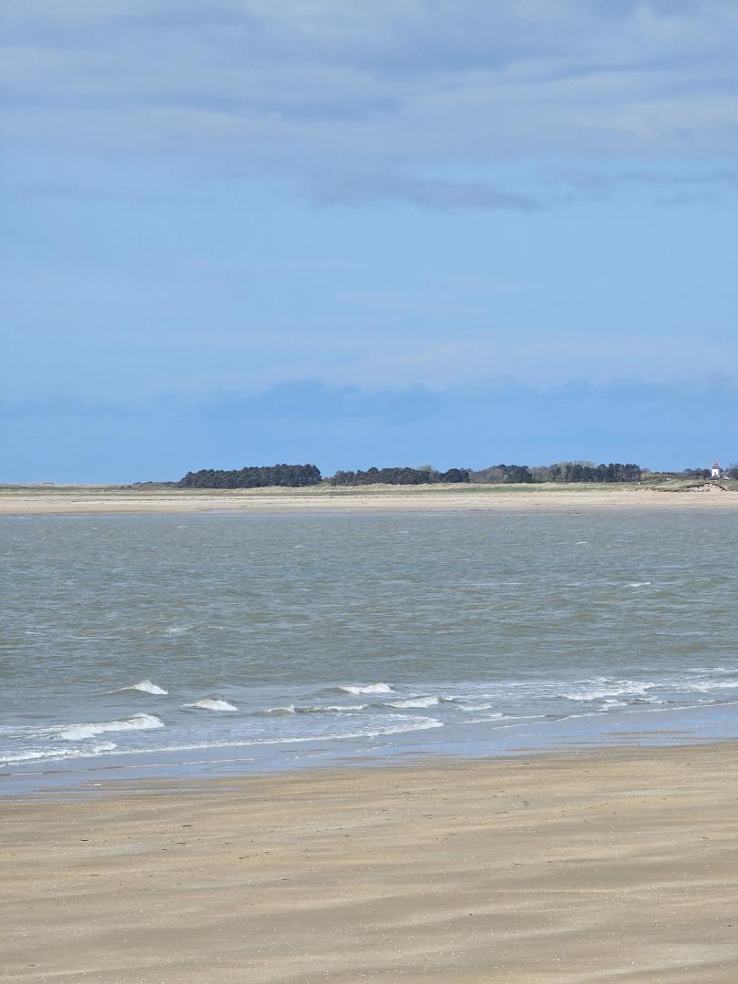 Gîtes de France G1141 : La Suretière, Montmartin-sur-Mer - photo 63