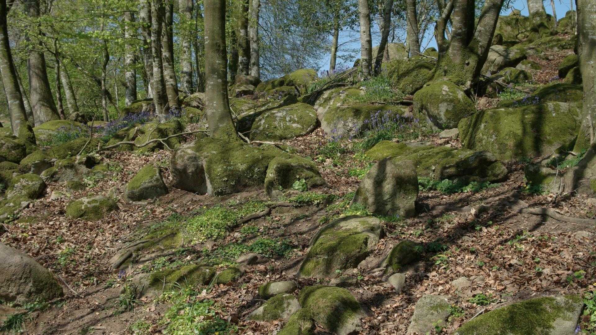 Gîtes de France G1147 : La Bergerie, Saint-Michel-de-Montjoie - photo 82
