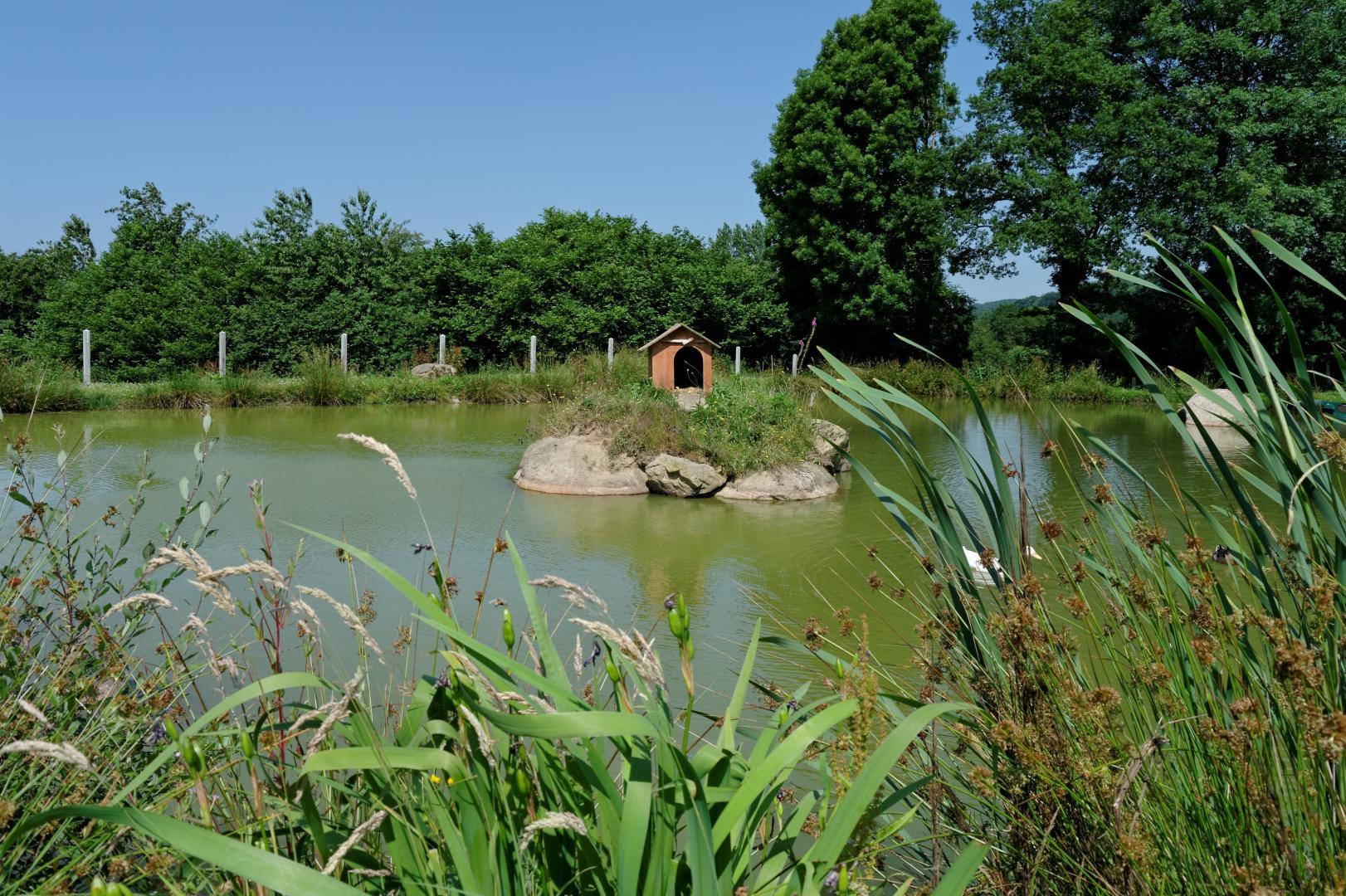 Gîtes de France G1147 : La Bergerie, Saint-Michel-de-Montjoie - photo 78