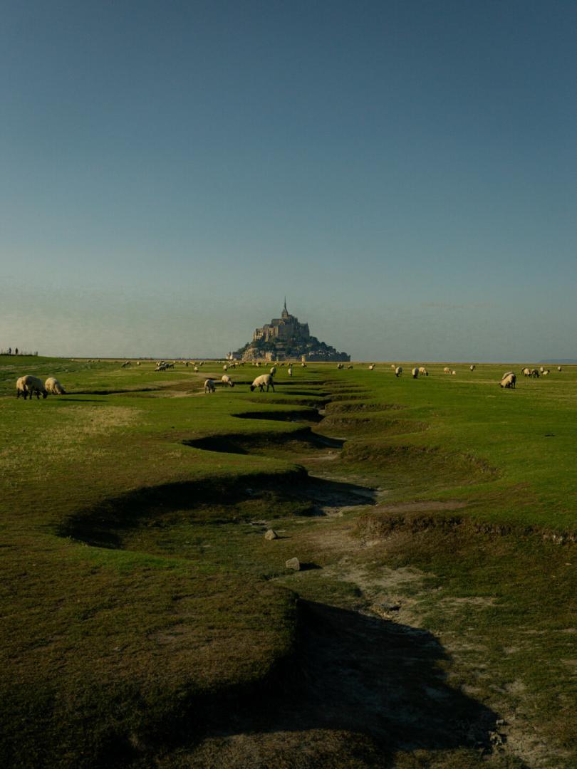 Gîtes de France G1174 : Le Pommier — photo 2