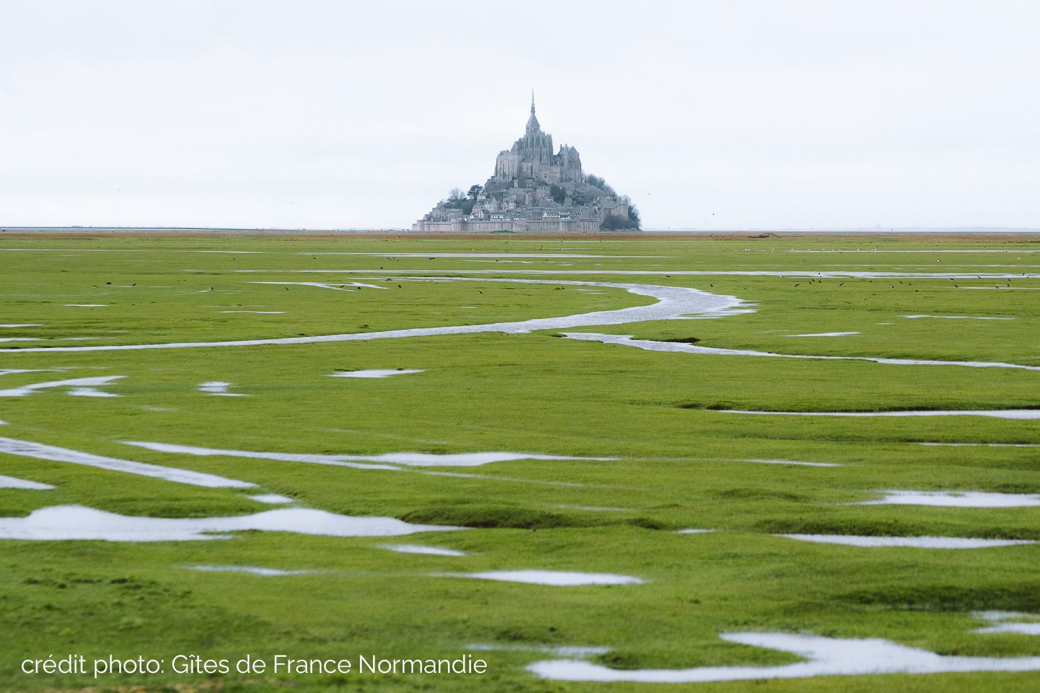 Gîtes de France G1183 : Le Petit Gîte du Mont, Beauvoir - photo 3