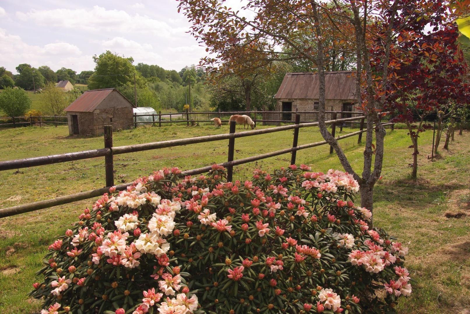 Gîtes de France G1212 : La Pony House