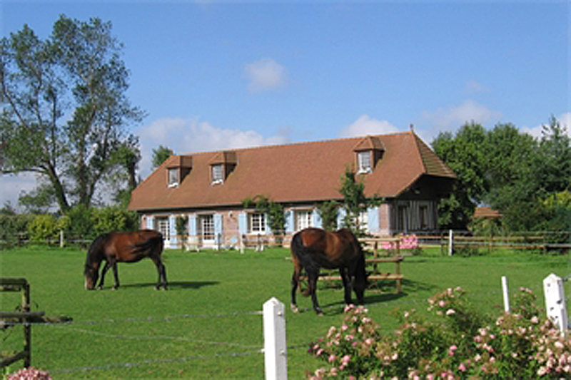 Gîtes de France G1212 : La Pony House