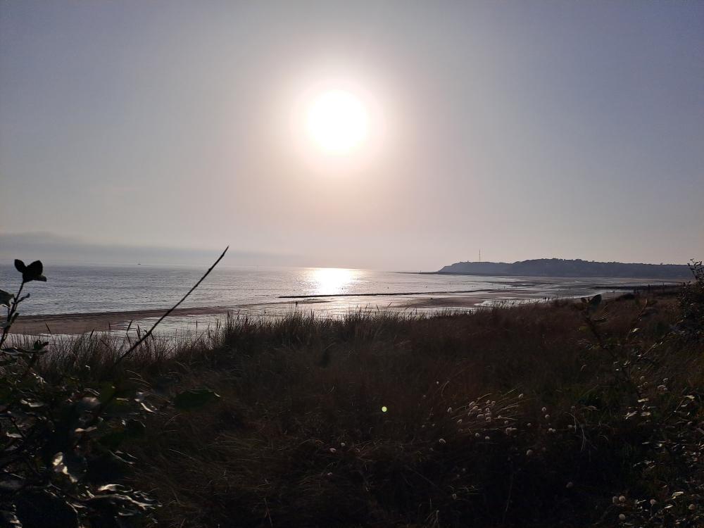 Gîtes de France G1240 : Sur les plages de Barneville-Carteret, Saint-Jean-de-la-Rivière - photo 99
