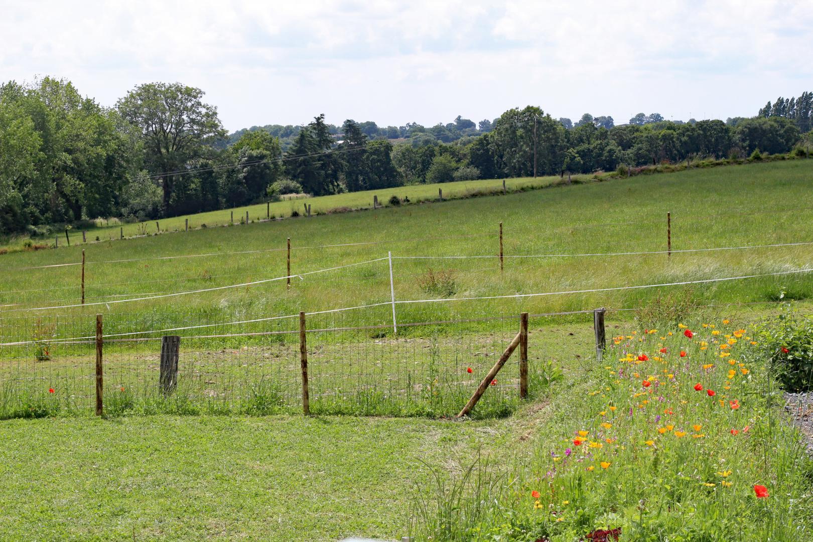 Gîtes de France G1242 : Les Petites Maisons de la Monterie - Le Jardin, Saint-Lô - photo 90