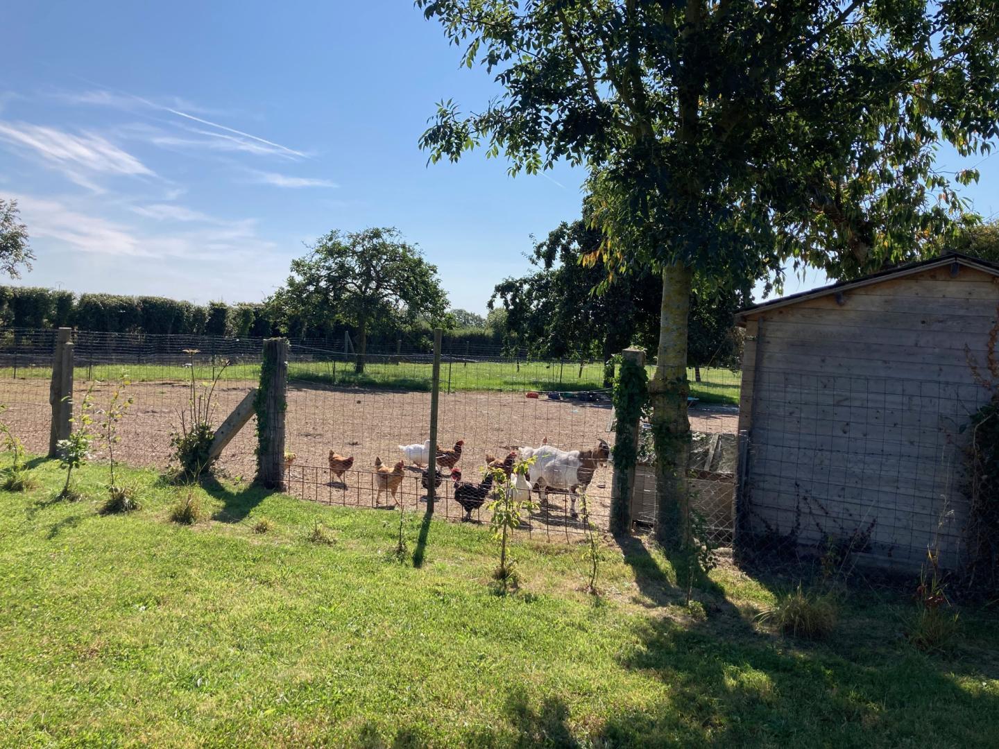 Gîtes de France G1258 : La Grange, Quettreville-sur-Sienne - photo 91