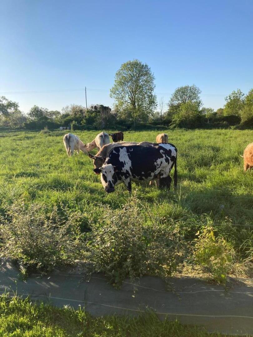 Gîtes de France G1258 : La Grange, Quettreville-sur-Sienne - photo 102