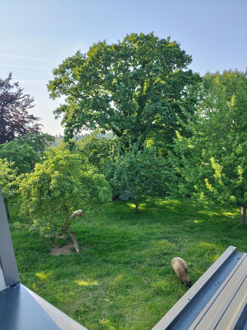 Gîtes de France G1259 : La Maison du Ptit Fermier, Villedieu-les-Poêles-Rouffigny - photo 116