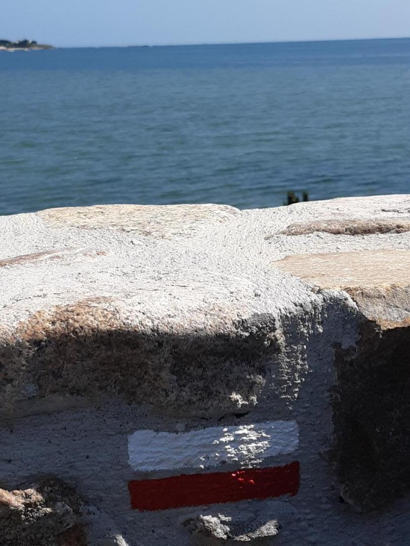 Gîtes de France G1269 : Le Prieuré, Réville - photo 213