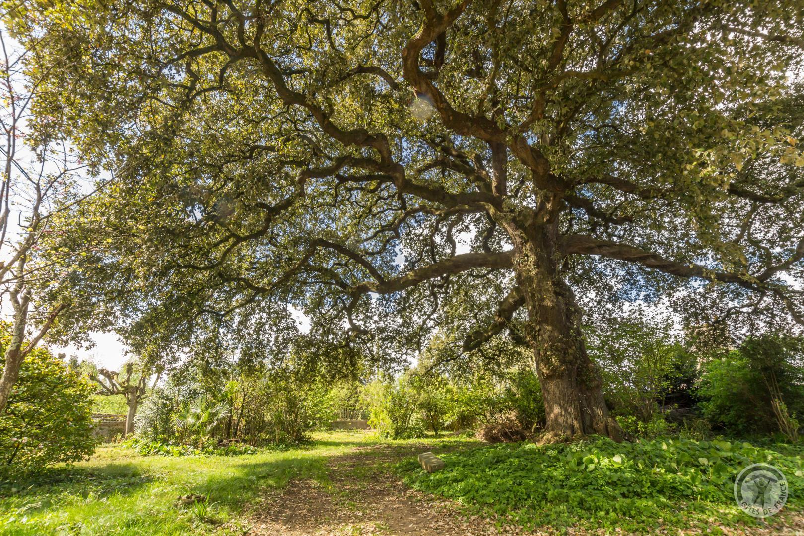 Gîtes de France G1300 : Le Domaine de l'Yeuse, Avranches - photo 127