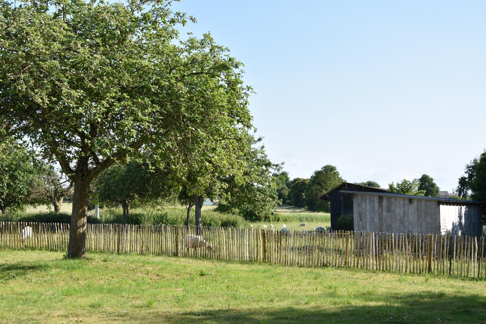 Gîtes de France G1303 : Le Relais du Berger, Céaux - photo 54