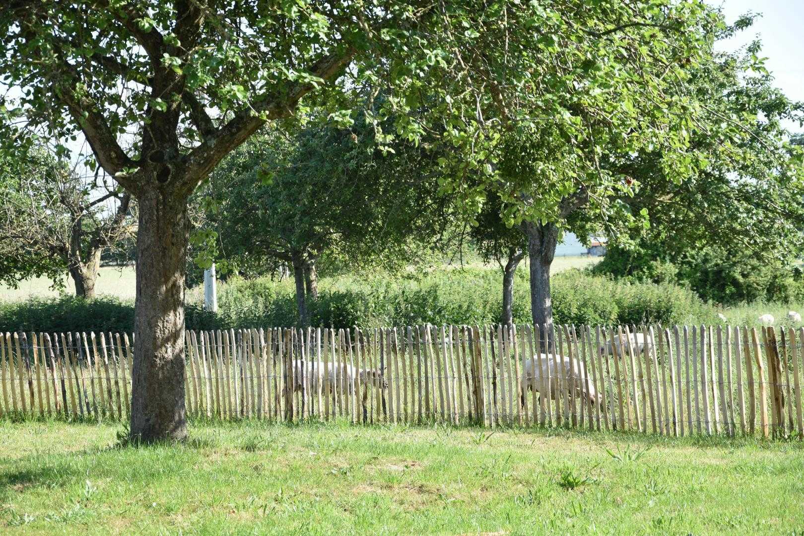 Gîtes de France G1303 : Le Relais du Berger, Céaux - photo 60
