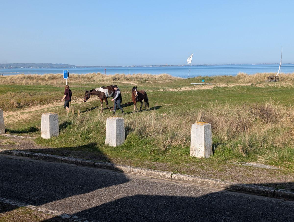 Gîtes de France G1318 : Cabine Jacqueline, Quinéville - photo 31