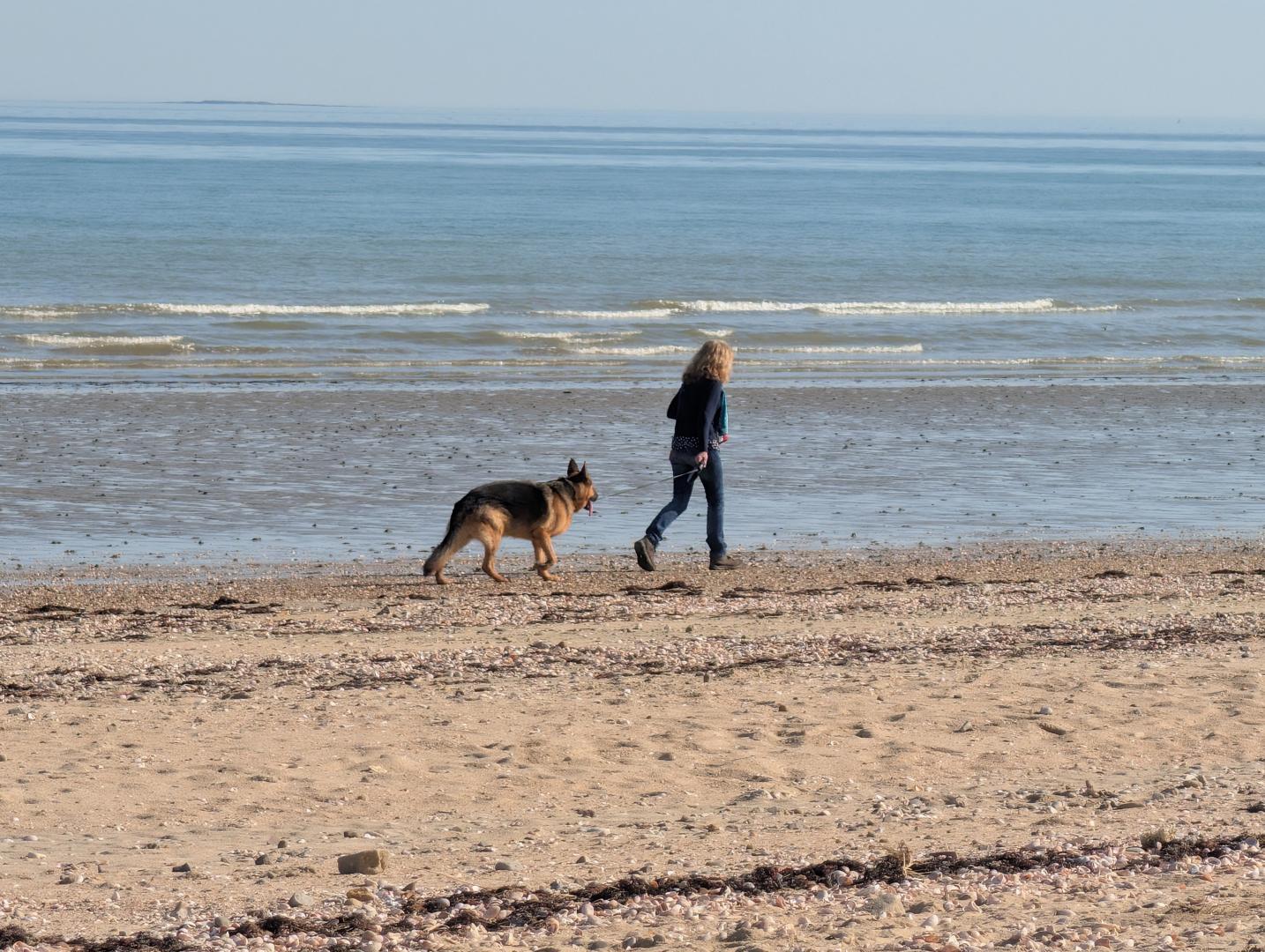 Gîtes de France G1318 : Cabine Jacqueline, Quinéville - photo 43