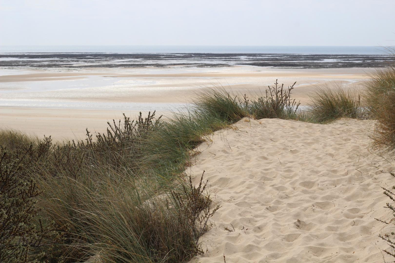 Gîtes de France G1325 : La Bounty, Barneville-Carteret - photo 64