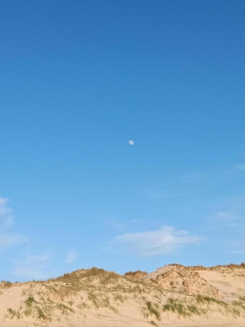 Gîtes de France G1329 : L'Abri Côtier n°2, La Haye - photo 110
