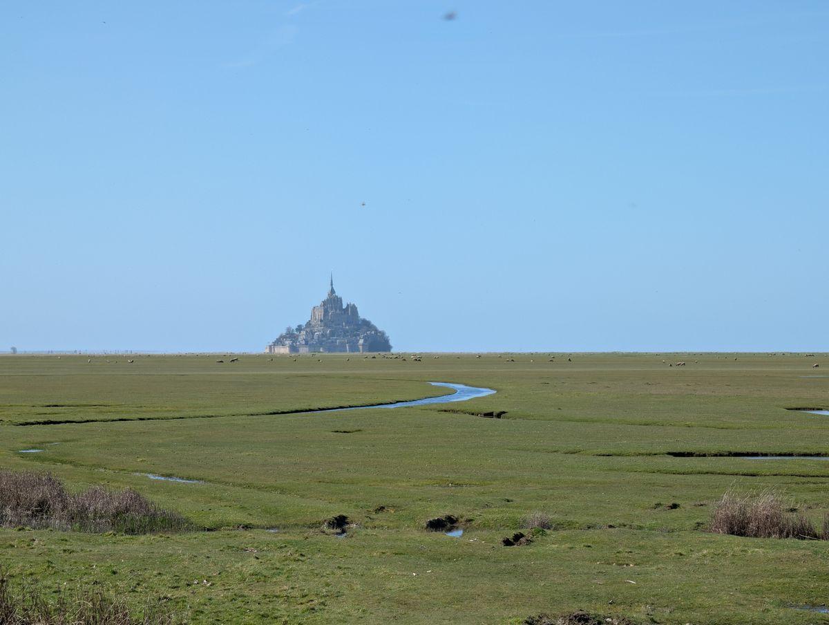 Gîtes de France G1337 : Le Grand Port, Céaux - photo 53