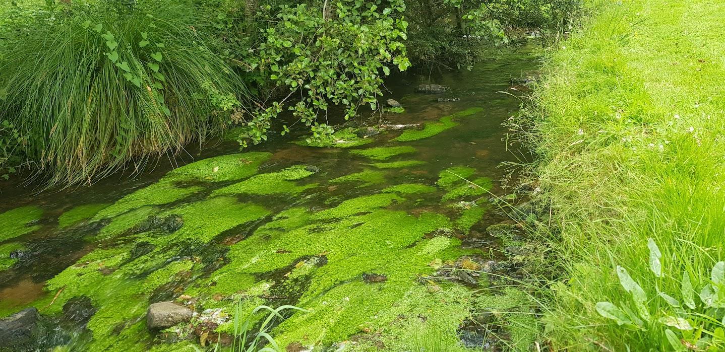 Gîtes de France G1345 : Le Moulin d'Airou, Villedieu-les-Poêles-Rouffigny - photo 100