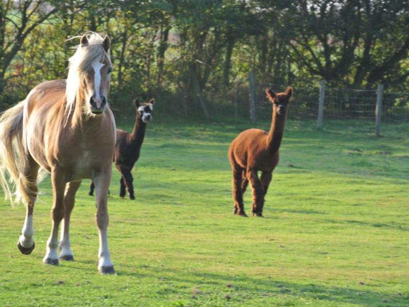 G1351- Le Clos Saint Bernard - Mme Landry 5