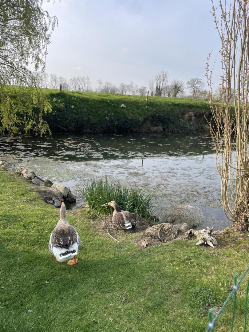 Gîtes de France G1364 : La Sagerie, Cerisy-la-Salle - photo 102