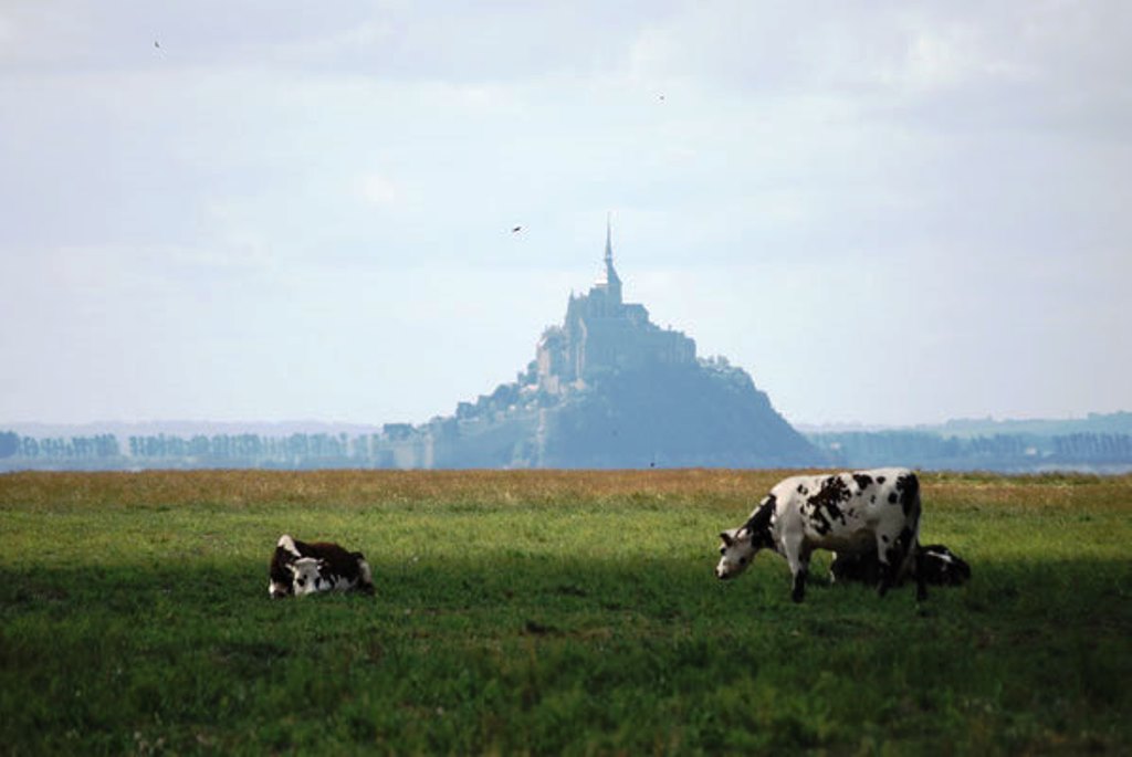 Gîtes de France G168 : Le Manoir, Sartilly-Baie-Bocage - photo 183