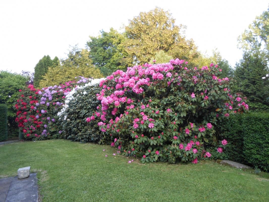 Gîtes de France G194 : Le Festel, Percy-en-Normandie - photo 15