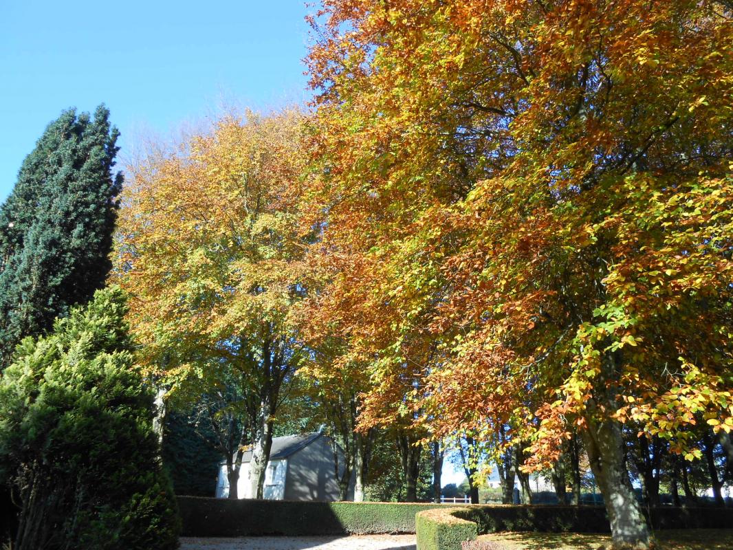 Gîtes de France G194 : Le Festel, Percy-en-Normandie - photo 8