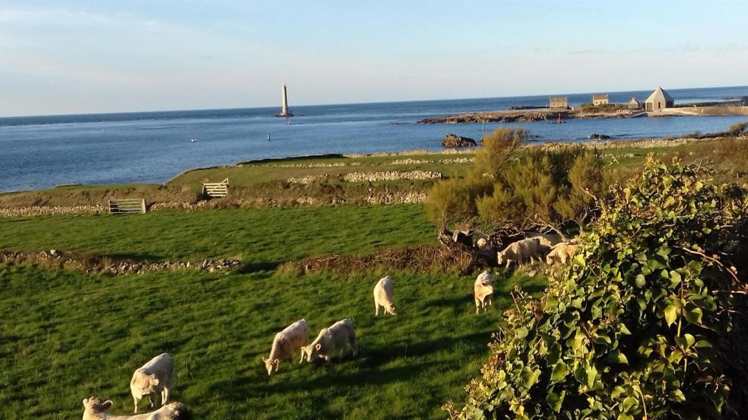 Gîtes de France G202 : La demeure du Cotentin, Sottevast - photo 126