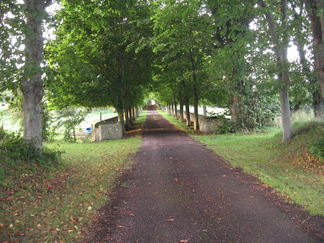 Gîtes de France G203 : Maison des Lilas, Geffosses - photo 47