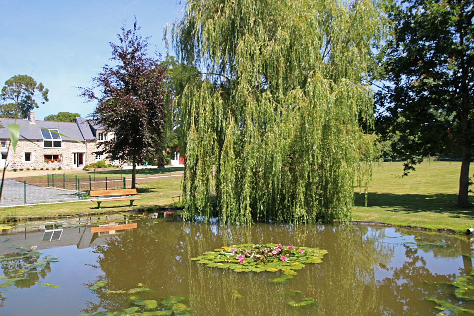Gîtes de France G209 : Les Nymphéas, Blainville-sur-Mer - photo 75