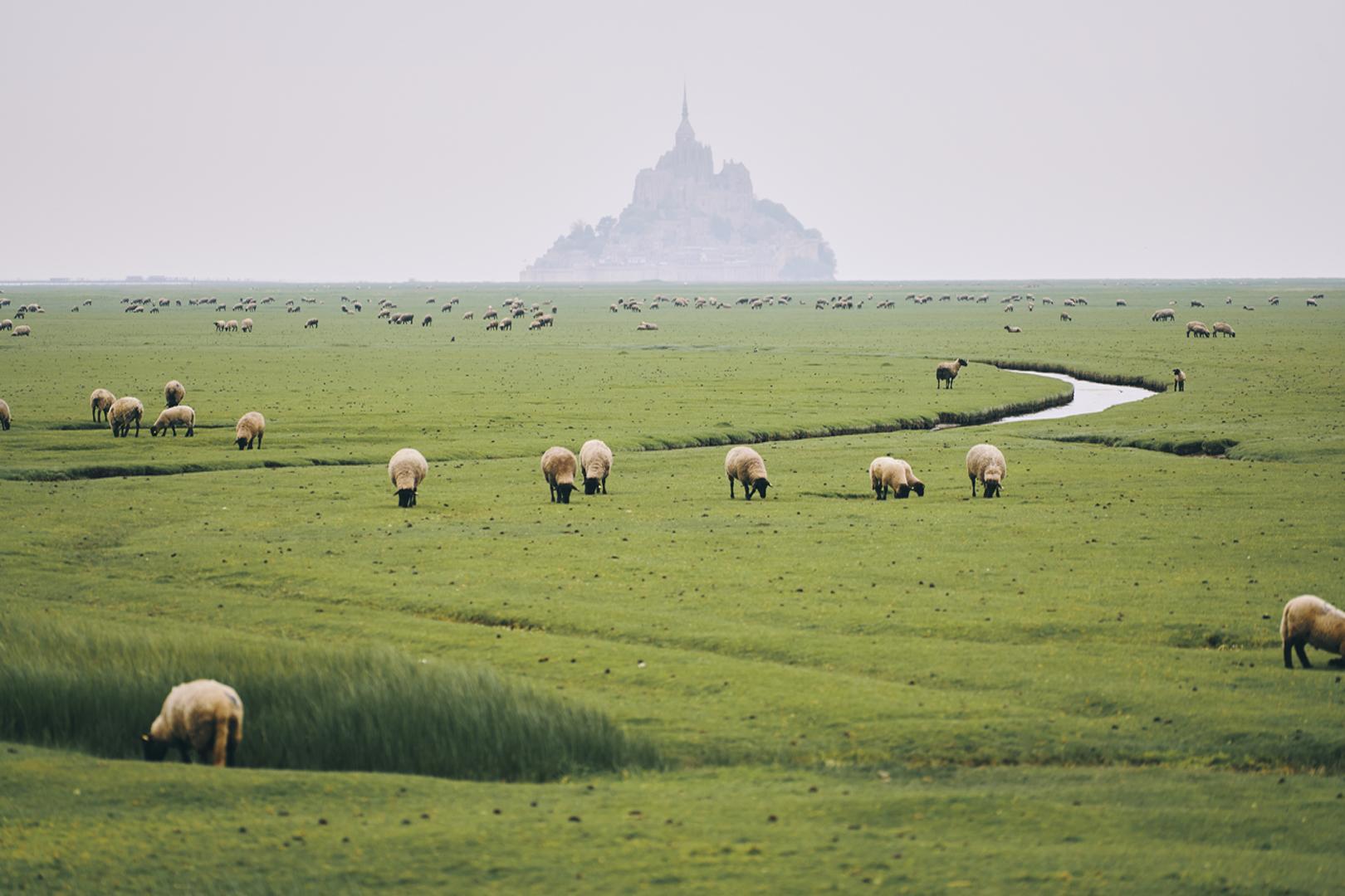 Gîtes de France G212 : Les Goulets, Vains - photo 184